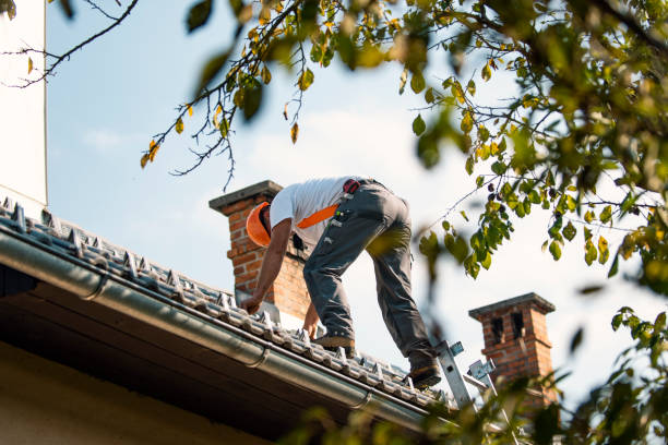 Best Flat Roof Repair Services  in Thompson Falls, MT