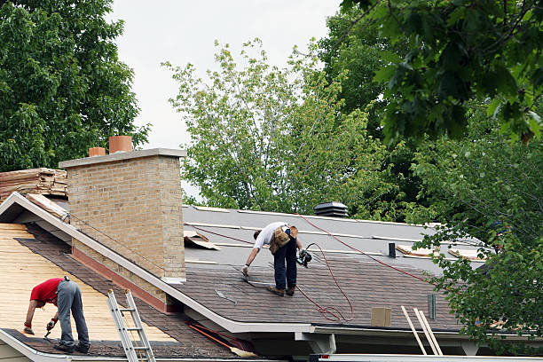 Best Emergency Roof Repair  in Thompson Falls, MT