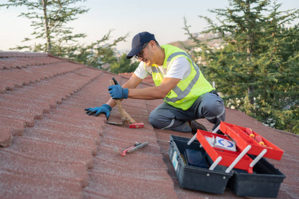 Best New Roof Installation  in Thompson Falls, MT