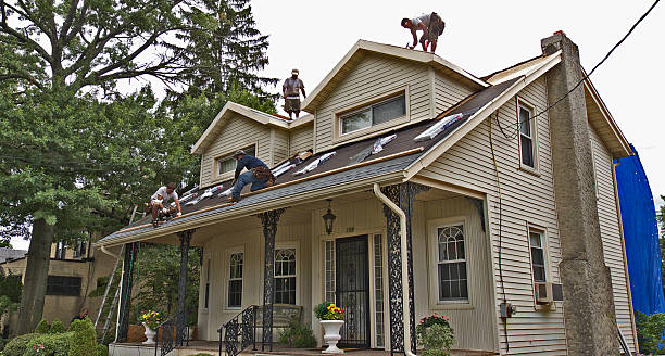 Best Best Roofing Contractors  in Thompson Falls, MT